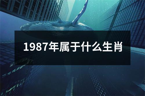 1987年属于什么生肖