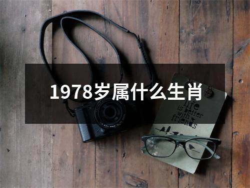 1978岁属什么生肖