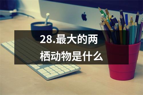 28.最大的两栖动物是什么