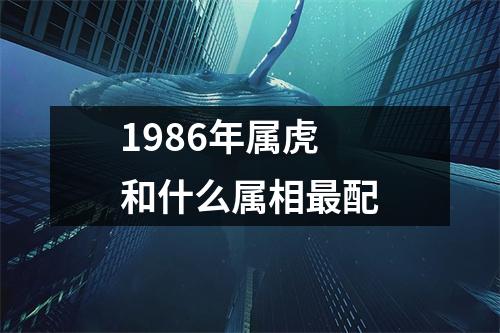 1986年属虎和什么属相最配