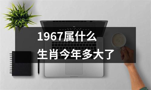 1967属什么生肖今年多大了