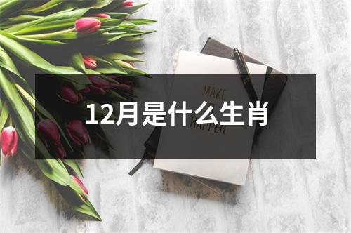 12月是什么生肖