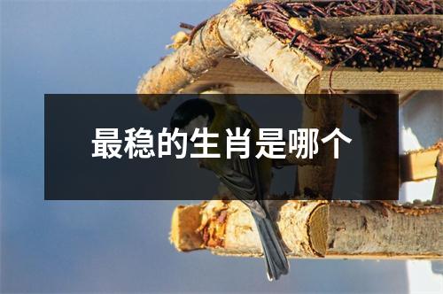 最稳的生肖是哪个