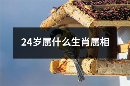 24岁属什么生肖属相