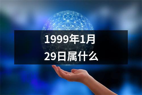 1999年1月29日属什么