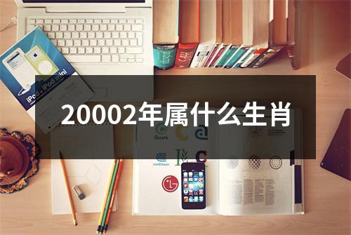 20002年属什么生肖