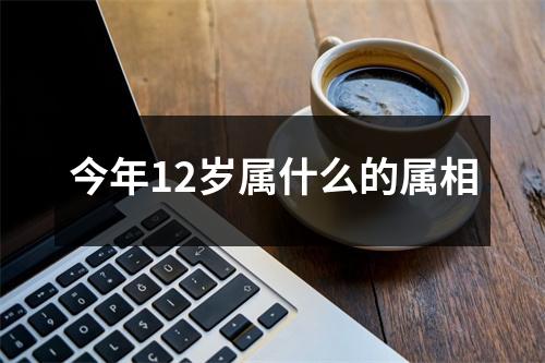 今年12岁属什么的属相