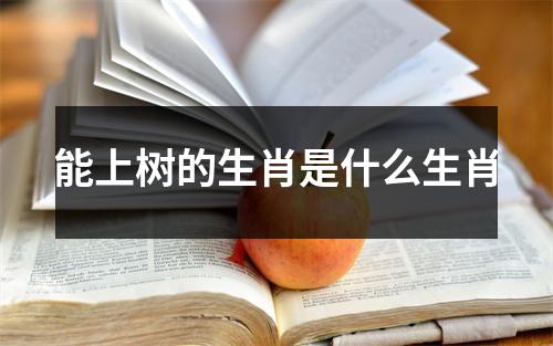 能上树的生肖是什么生肖