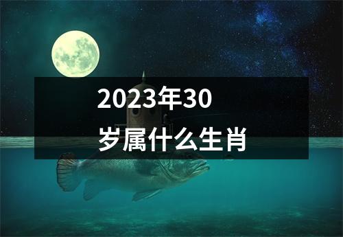 2023年30岁属什么生肖