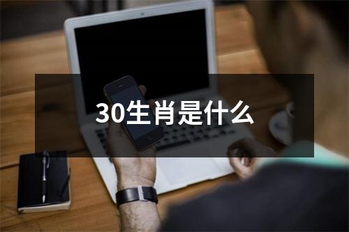 30生肖是什么