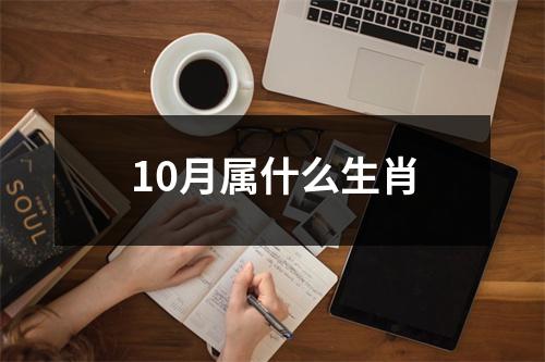 10月属什么生肖