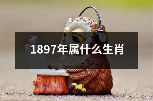 1897年属什么生肖