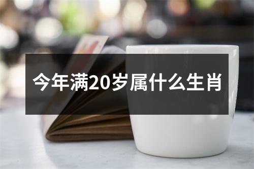 今年满20岁属什么生肖