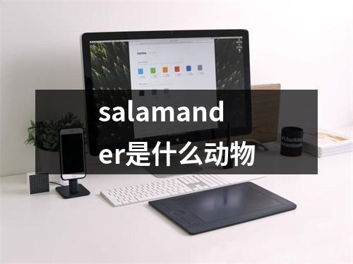 salamander是什么动物