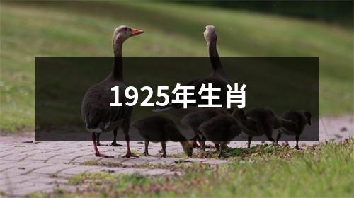 1925年生肖