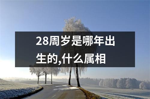 28周岁是哪年出生的,什么属相