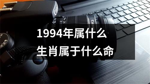 1994年属什么生肖属于什么命