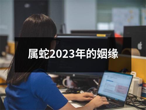 属蛇2023年的姻缘