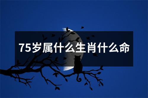 75岁属什么生肖什么命