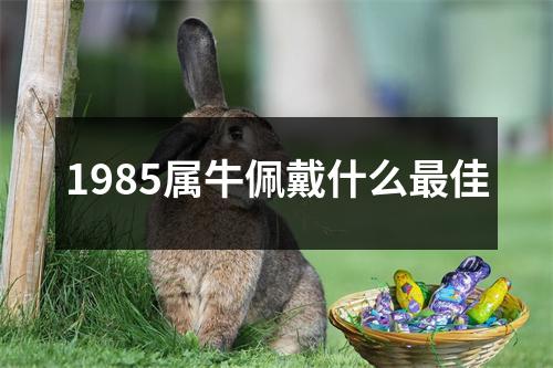 1985属牛佩戴什么最佳