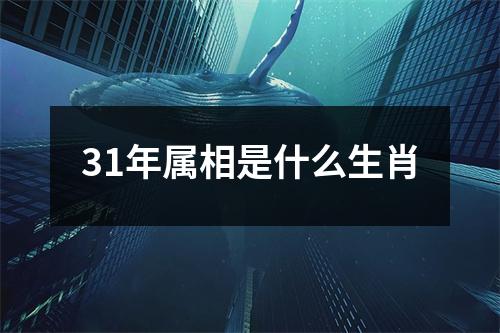 31年属相是什么生肖