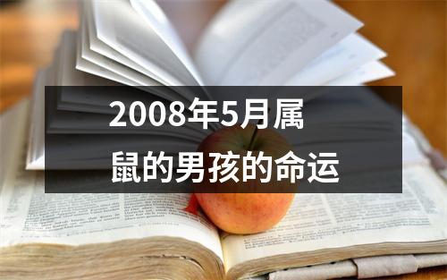 2008年5月属鼠的男孩的命运