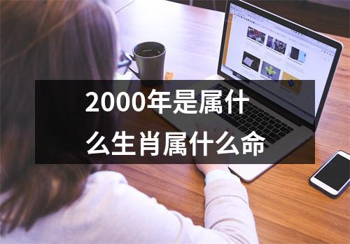 2000年是属什么生肖属什么命