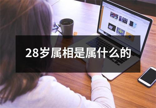 28岁属相是属什么的