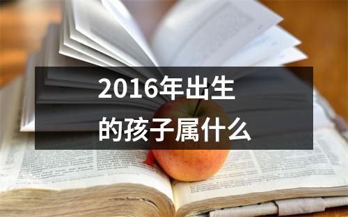 2016年出生的孩子属什么