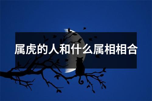 属虎的人和什么属相相合