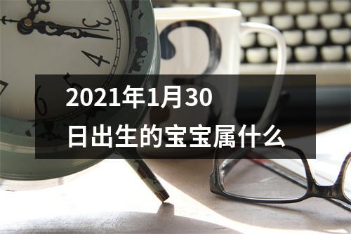 2021年1月30日出生的宝宝属什么