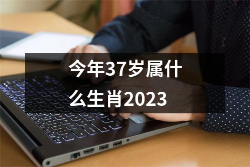 今年37岁属什么生肖2023