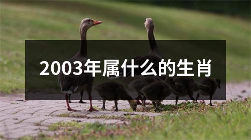 2003年属什么的生肖