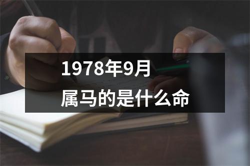 1978年9月属马的是什么命