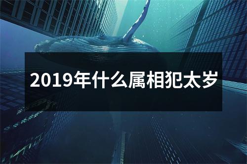 2019年什么属相犯太岁