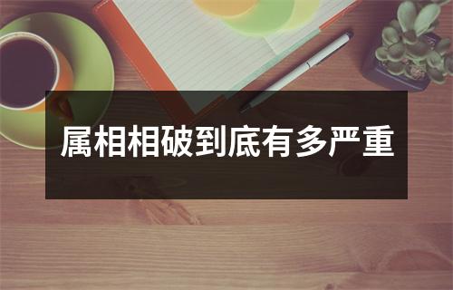 属相相破到底有多严重