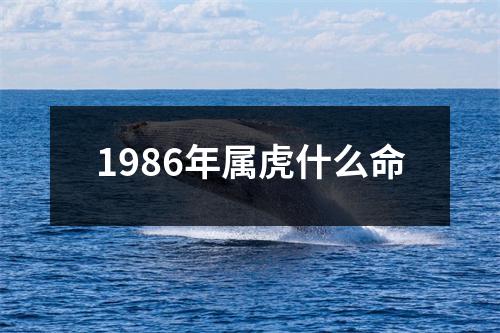 1986年属虎什么命