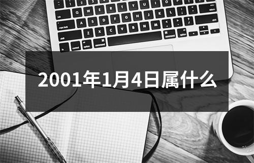 2001年1月4日属什么