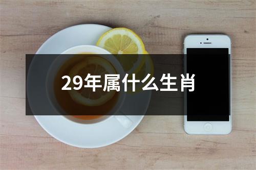 29年属什么生肖