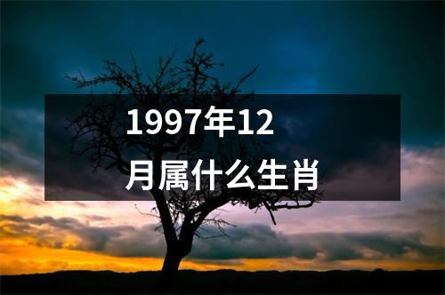 1997年12月属什么生肖