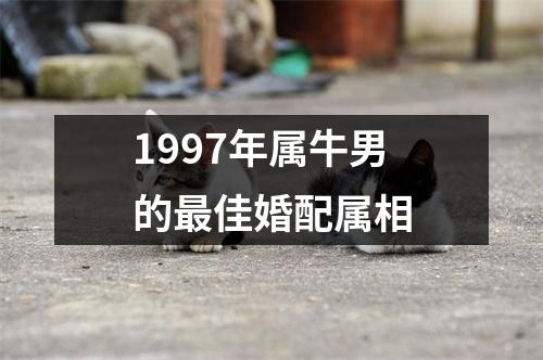 1997年属牛男的最佳婚配属相