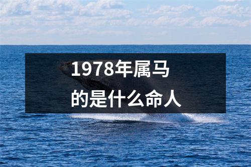 1978年属马的是什么命人