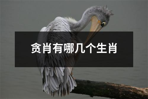 贪肖有哪几个生肖