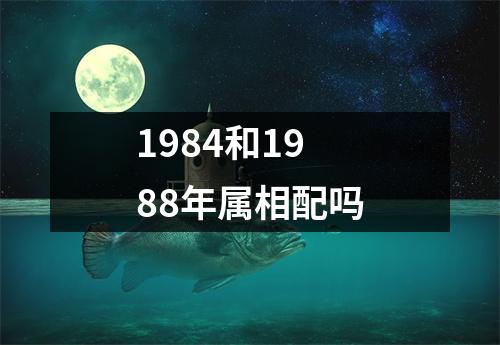 1984和1988年属相配吗