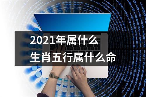 2021年属什么生肖五行属什么命