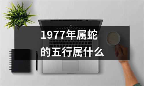 1977年属蛇的五行属什么