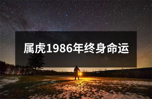 属虎1986年终身命运