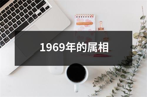 1969年的属相