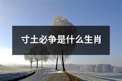 寸土必争是什么生肖