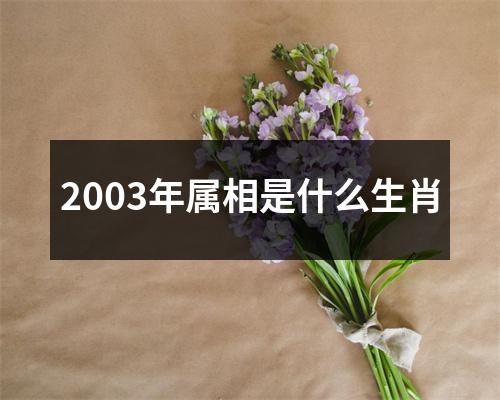 2003年属相是什么生肖